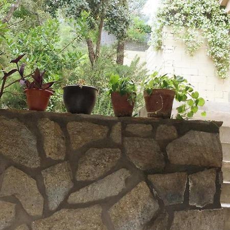 Casa Rural Lago Bolarque Albalate De Zorita Ngoại thất bức ảnh