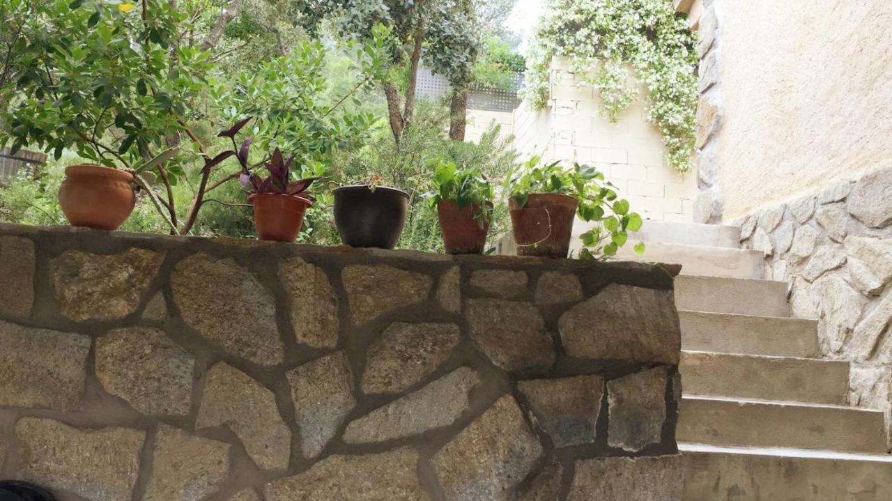 Casa Rural Lago Bolarque Albalate De Zorita Ngoại thất bức ảnh
